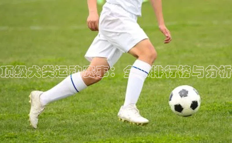 门徒平台登录入口官网注册